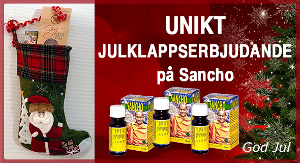 Julkampanj