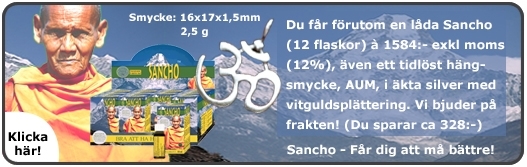 Picture of PAKET Sancho 12 med AUM hängsmycke
